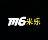 案例展示六