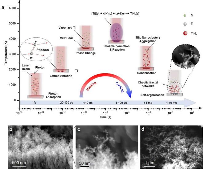 清华大学深圳国际研究生院杨诚课题组Adv Mater：新型自组织结构氮化钛高频贴片电解质电容器米乐M6 米乐(图1)