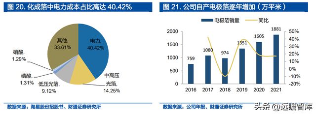 米乐M6 米乐铝电解电容龙头江海股份：布局新能源多产品协同发展(图19)